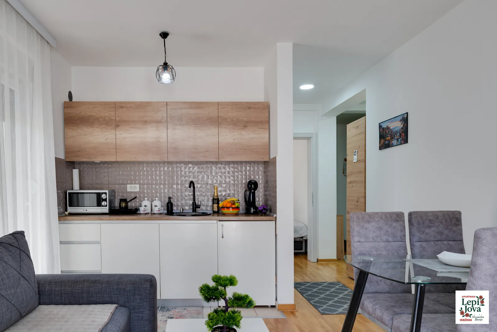 Potpuno opremljena kuhinja apartmana Snežnik sa mikrotalasnom rernom